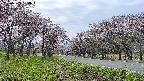 takano1-20250503180017.jpg