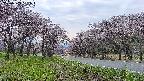 takano1-20250503181017.jpg