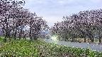 takano1-20250503182015.jpg