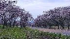 takano1-20250503183016.jpg