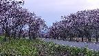 takano1-20250503184016.jpg