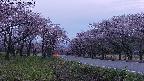 takano1-20250503185017.jpg