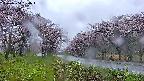 takano1-20250504050017.jpg
