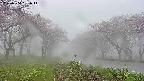 takano1-20250504051015.jpg