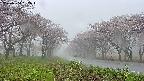 takano1-20250504052016.jpg