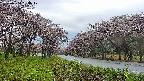 takano1-20250504053018.jpg