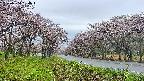 takano1-20250504054016.jpg