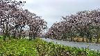 takano1-20250504055015.jpg