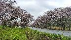 takano1-20250504060016.jpg