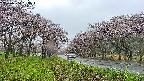 takano1-20250504063016.jpg