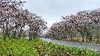 takano1-20250504064015.jpg