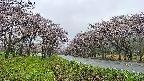 takano1-20250504065017.jpg