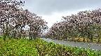 takano1-20250504070016.jpg