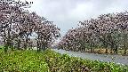 takano1-20250504071015.jpg