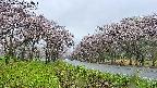 takano1-20250504072016.jpg