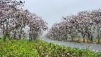 takano1-20250504073016.jpg