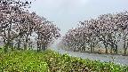 takano1-20250504074014.jpg