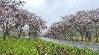 takano1-20250504080018.jpg