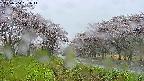 takano1-20250504081014.jpg