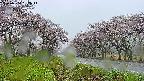 takano1-20250504082015.jpg