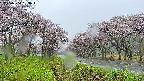 takano1-20250504083015.jpg