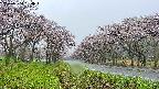 takano1-20250504084016.jpg