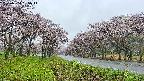 takano1-20250504085015.jpg