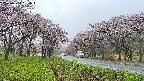 takano1-20250504091017.jpg