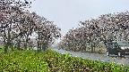 takano1-20250504093017.jpg