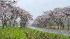 takano1-20250504094016.jpg