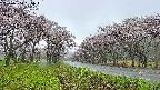 takano1-20250504095016.jpg