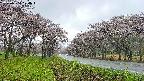 takano1-20250504100017.jpg