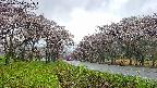 takano1-20250504101016.jpg