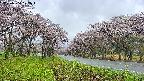 takano1-20250504102016.jpg