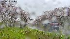 takano1-20250504104016.jpg