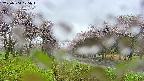 takano1-20250504105015.jpg