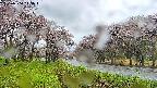 takano1-20250504115014.jpg