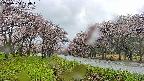 takano1-20250504120017.jpg
