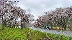 takano1-20250504121015.jpg