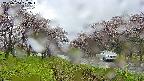takano1-20250504122016.jpg