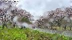 takano1-20250504123018.jpg