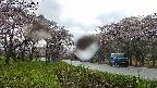 takano1-20250504134016.jpg