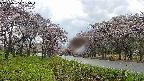 takano1-20250504135017.jpg