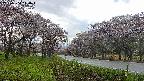 takano1-20250504140017.jpg