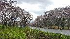 takano1-20250504141014.jpg