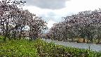 takano1-20250504142015.jpg