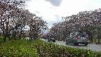 takano1-20250504143016.jpg