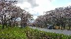takano1-20250504144016.jpg