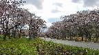 takano1-20250504145016.jpg