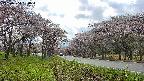 takano1-20250504150017.jpg